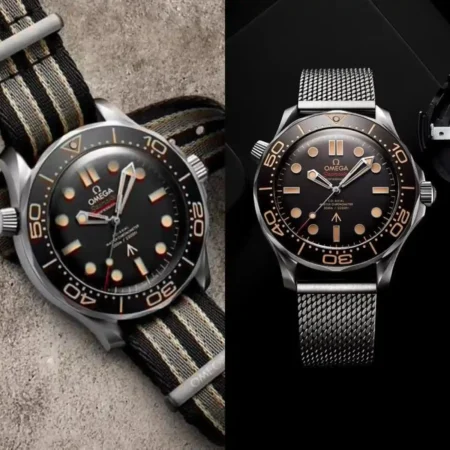 Omega Seamaster Diver 300M First Copy Watch 7AAA Automatic