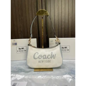 Luxurious Coach Teri Mini Crossbody Bag With Og Box For Women